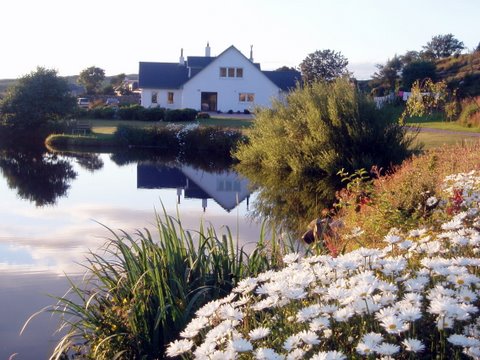 Lochside in summer