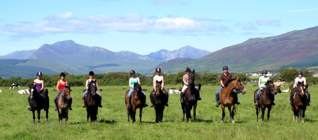 Cairnhouse Stables