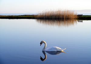 Lochside B&B, Kilpatrick, Isle of Arran