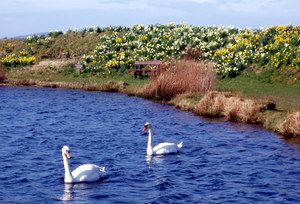 Lochside B&B, Kilpatrick, Isle of Arran